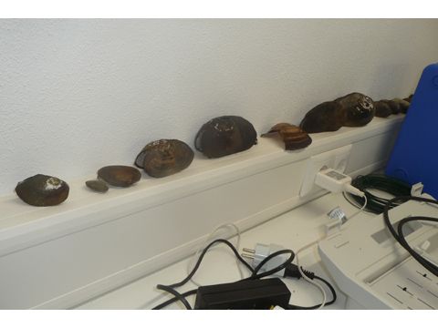 Foto 51